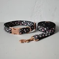 Dog Collar Leash Set