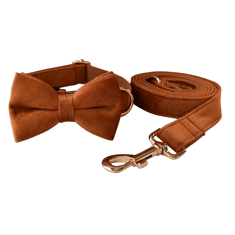 Bow Collar Leash Set
