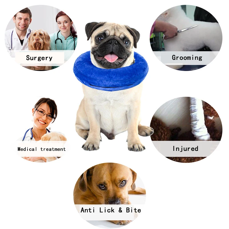 Collar Inflable para Mascotas con Cuello Antisordida y Protector Circular - imagen 3