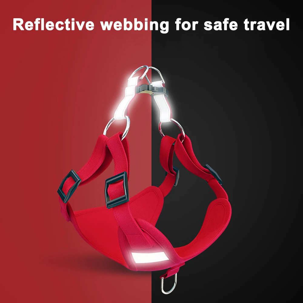 Arnés ajustable para perros pequeños con hebillas seguras