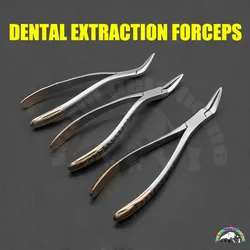 Pinzas dentales para perros y gatos extracción veterinaria