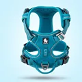 Blue dog harness