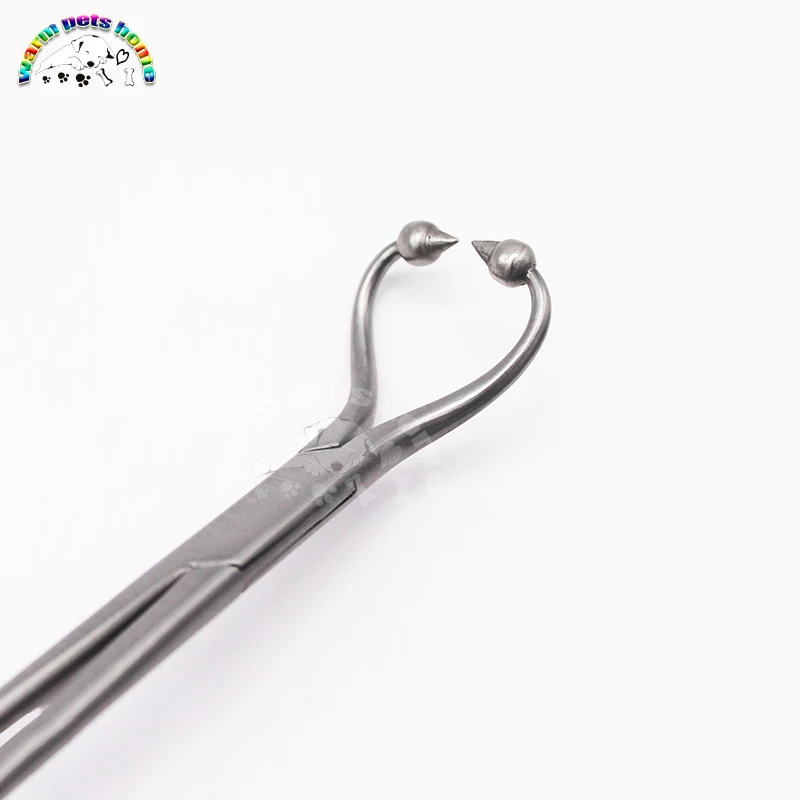 Fórceps de sujeción de placa ósea, instrumento de cirugía ortopédica, instrumentos veterinarios - imagen 4