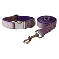Dog Collar Leash Set