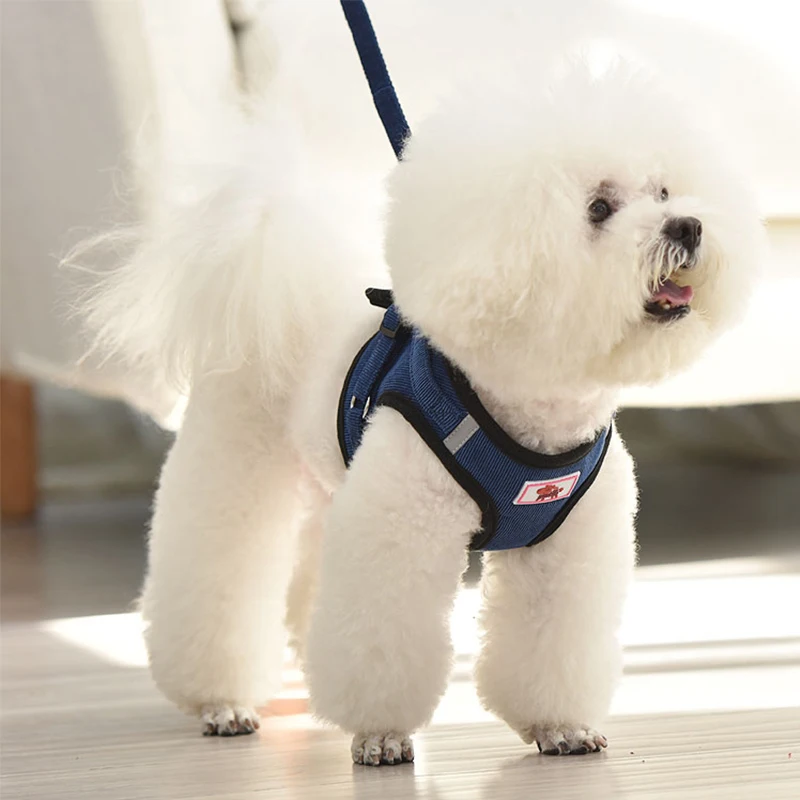 Arnés ajustable sin tirones para perro, Collar personalizado para cachorro y gato, accesorios para Pug, chaleco, Chihuahua, Beagle para perros pequeños - imagen 5