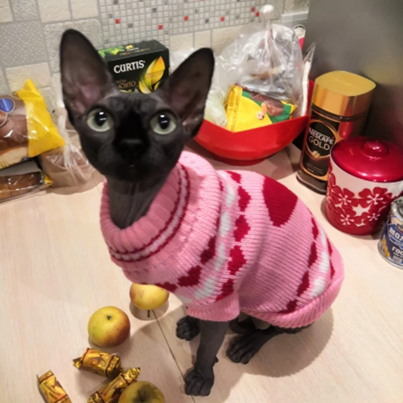 Suéter para gatos Sphynx – Cálido y cómodo, ideal para razas pequeñas - imagen 4