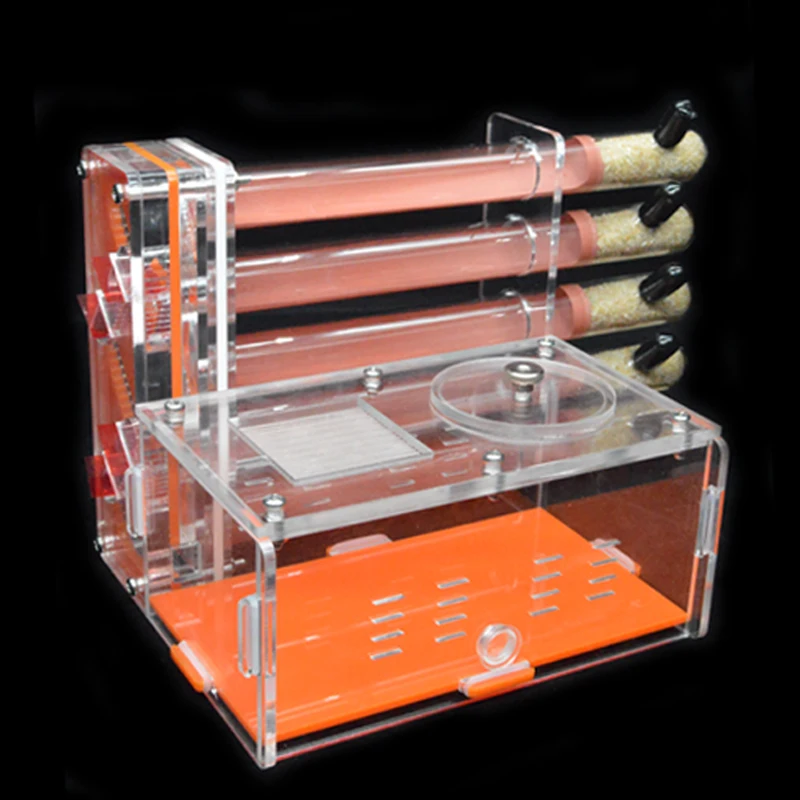 Instalación de la granja de hormigas DIY