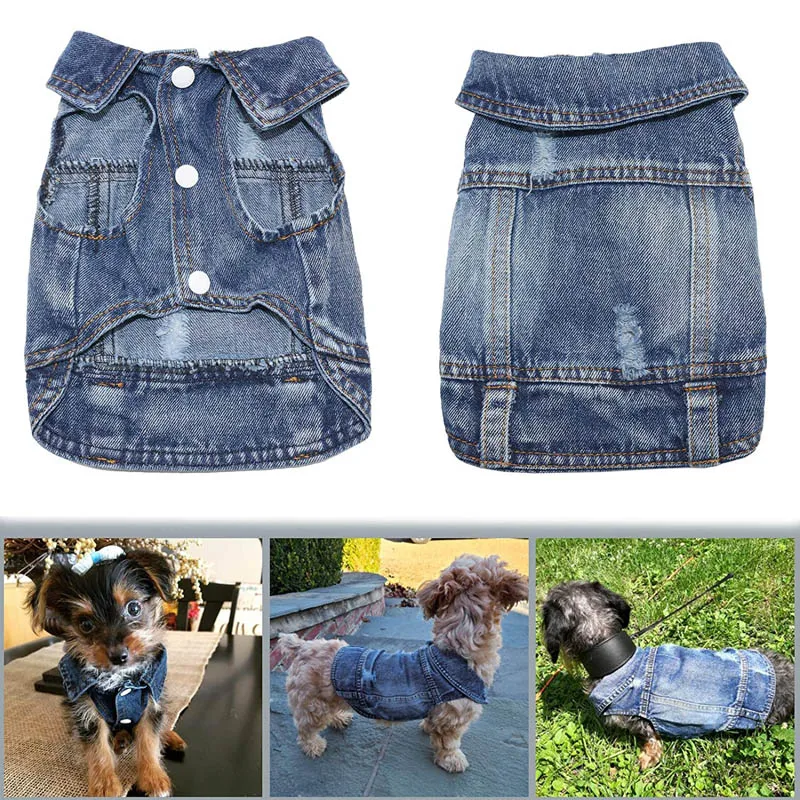 Chaqueta vaquera para perros pequeños y medianos – Chihuahua, Yorkie y Bulldog