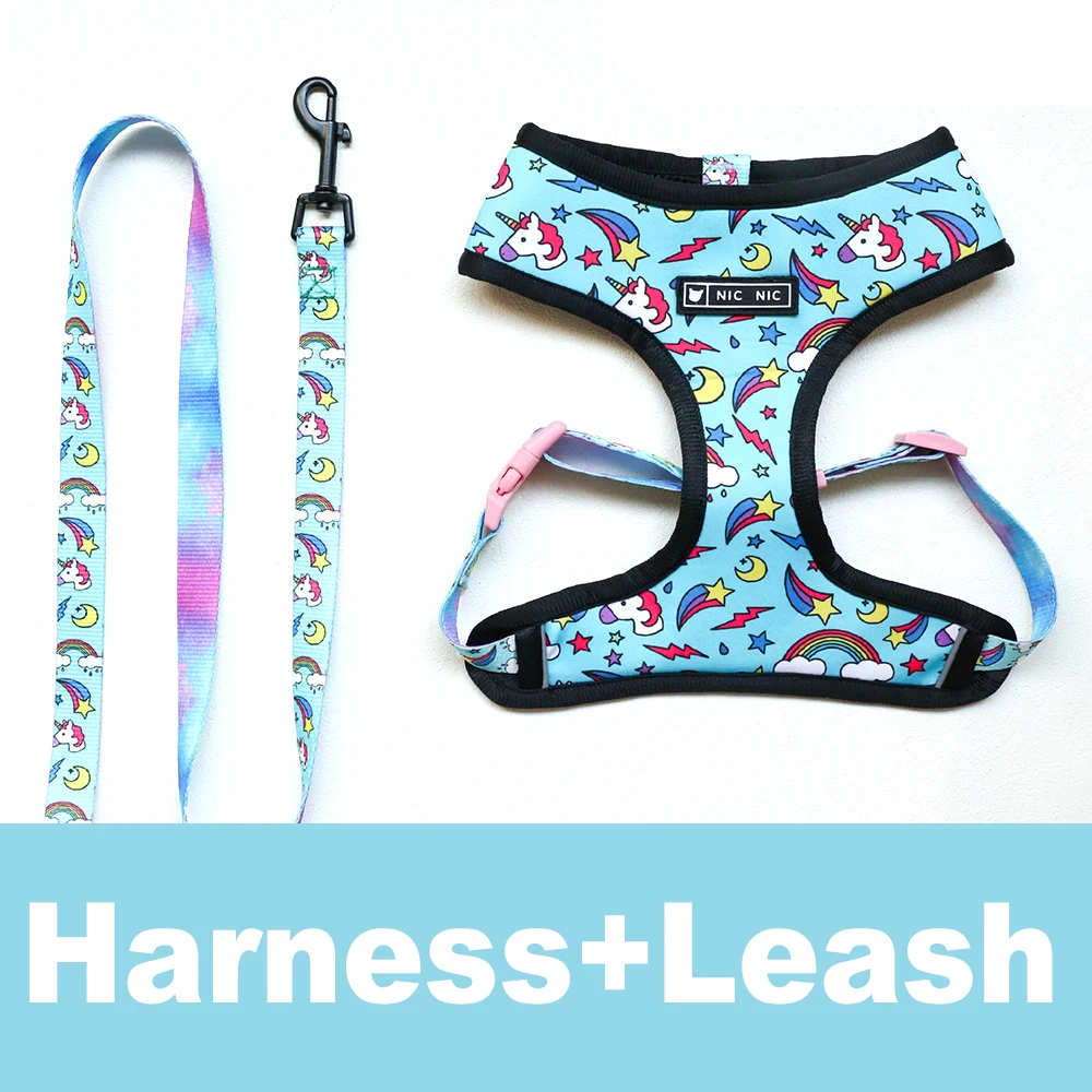 Blue harness leash