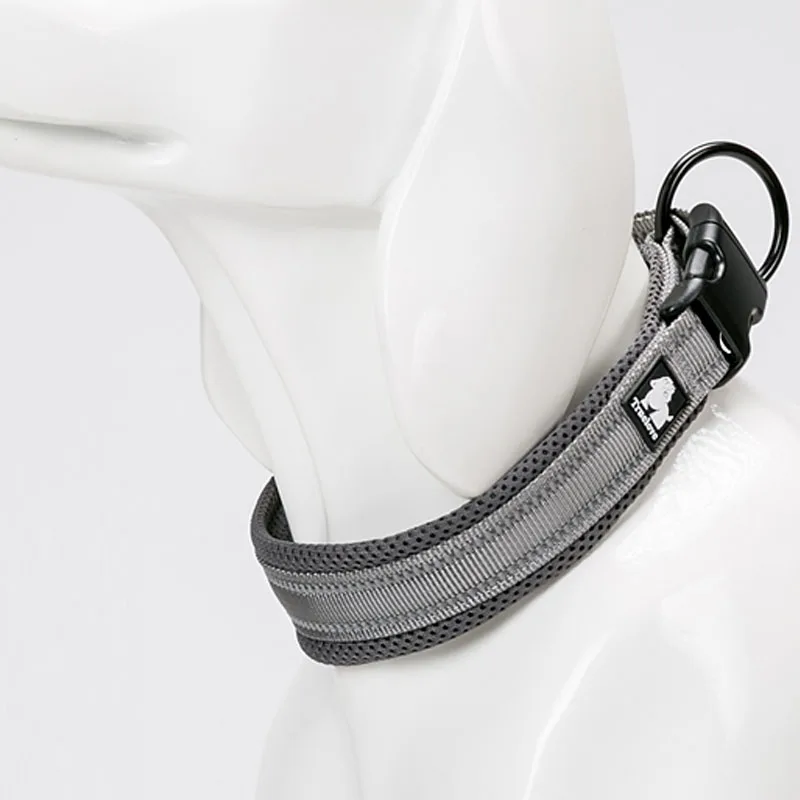 gray dog collar