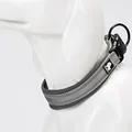 gray dog collar