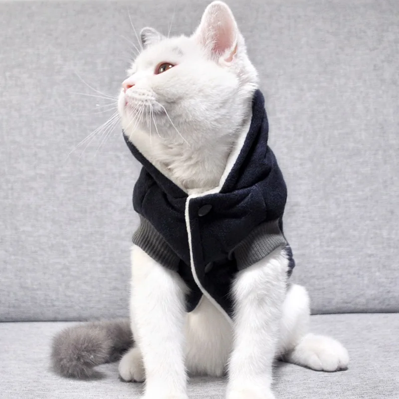 Abrigo de algodón suave para gatos, ropa cálida de invierno para Mascotas, disfraz para Mascotas - imagen 5