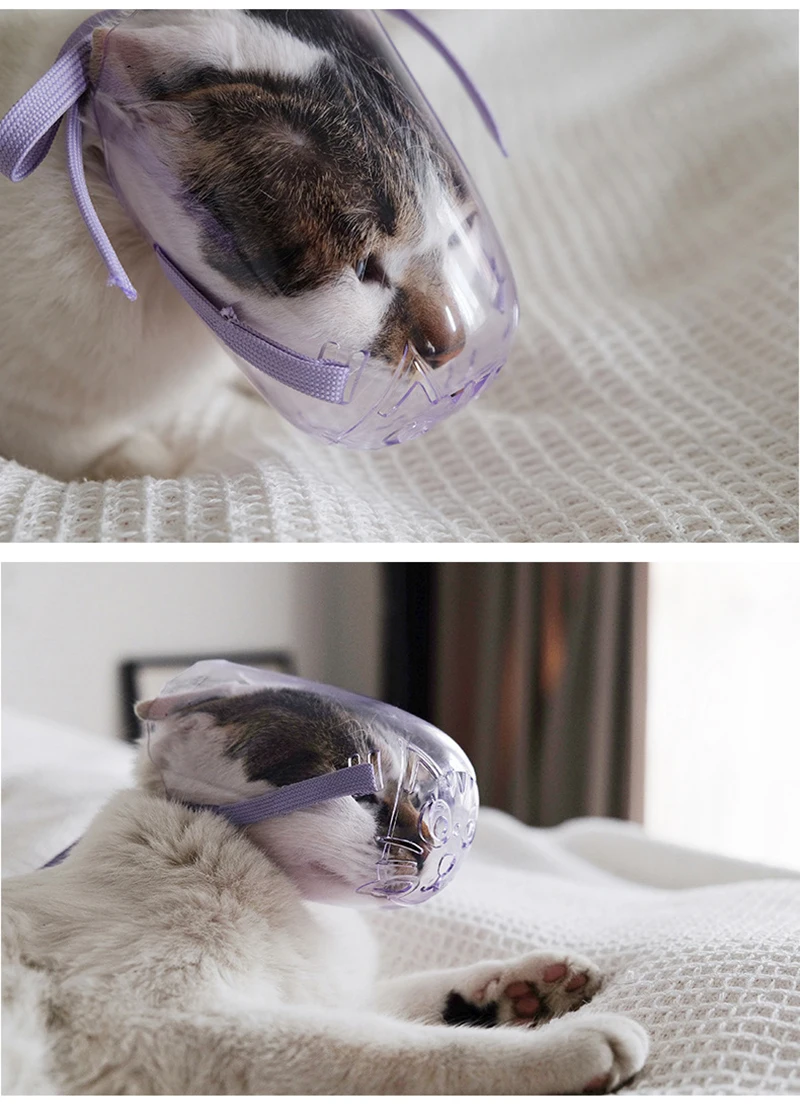 Mascarilla Bozal Gato Transpirable - uso en gato