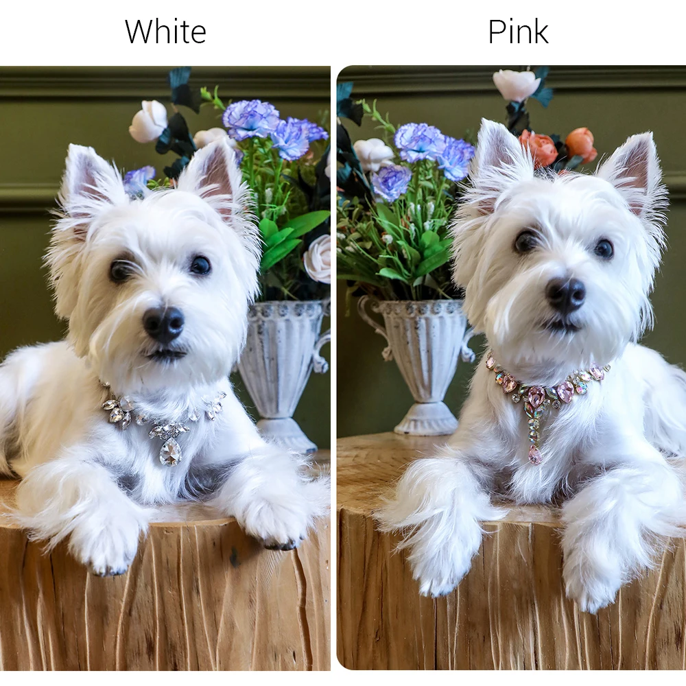 Collar de lujo para mascotas, cadena ajustable, Collar grande con diamantes de imitación para perros pequeños, Collar de gato con diamantes a la moda, accesorios para mascotas femeninas - imagen 5