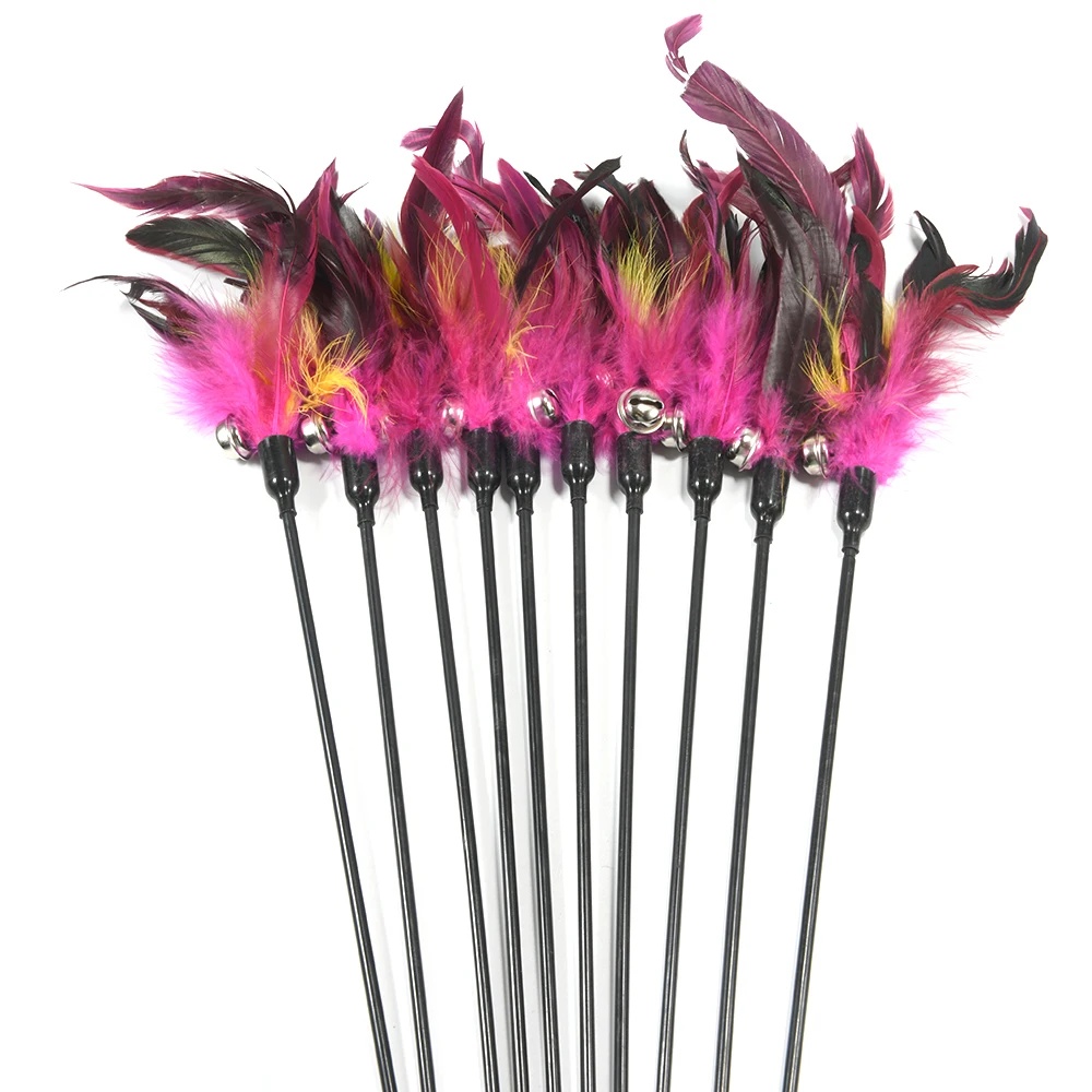 Un grupo de plumas negras y rosas