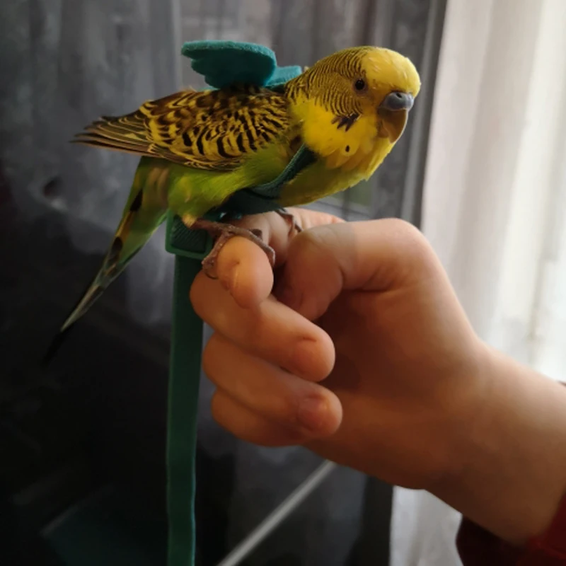 Arnés elástico ajustable para pájaros y loros, correa de tracción para entrenamiento de mascotas al aire libre, accesorio para cacatúas y Lovebird - imagen 3