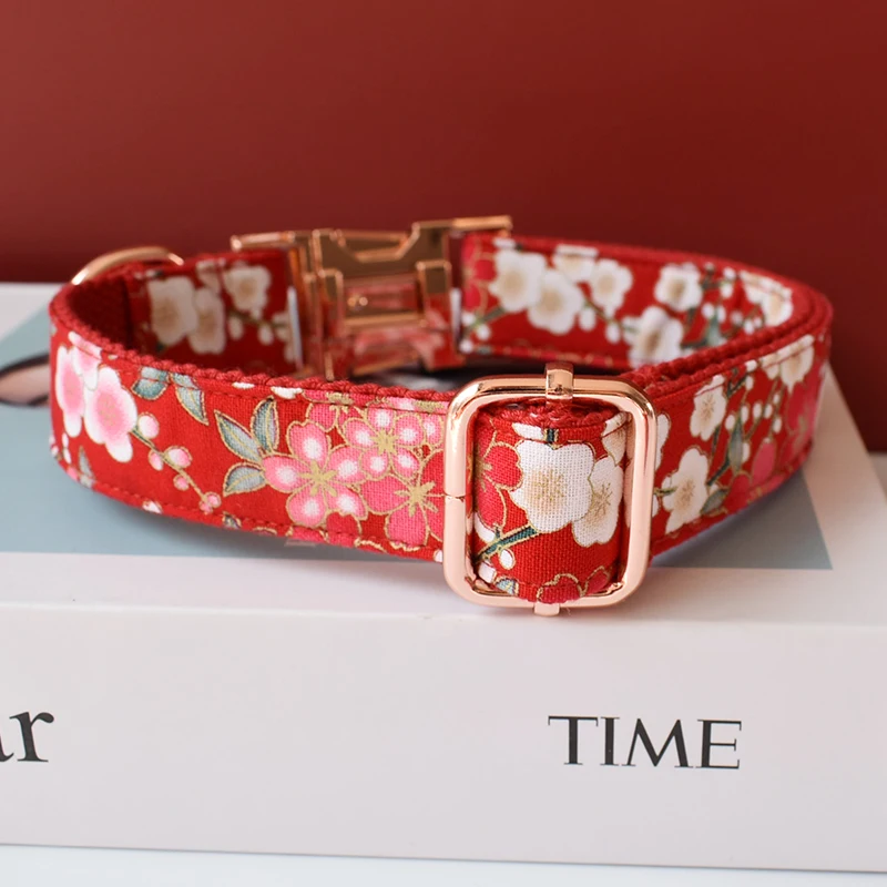 Collar personalizado perro bulldog con lazo y correa grabada - imagen 4