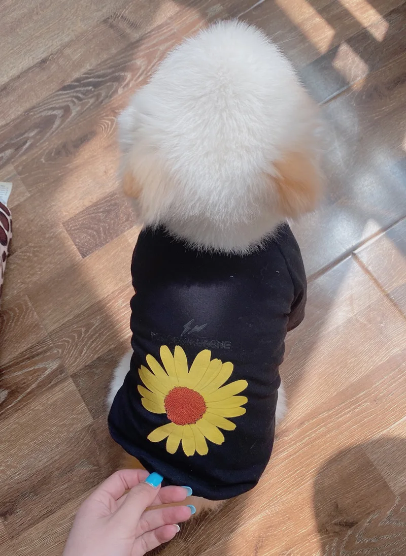 Varias camisetas estampadas para gatos mostradas en plano