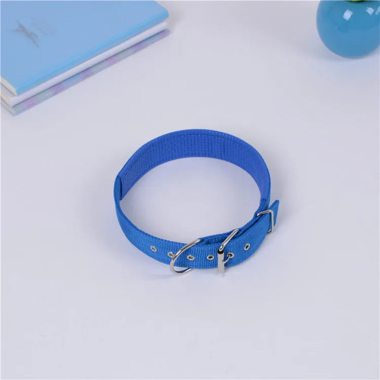 Pop It-Collar para mascotas, esponja de espuma, Golden Retriever, Husky Samoye común para perros grandes, medianos y pequeños, accesorios - imagen 2