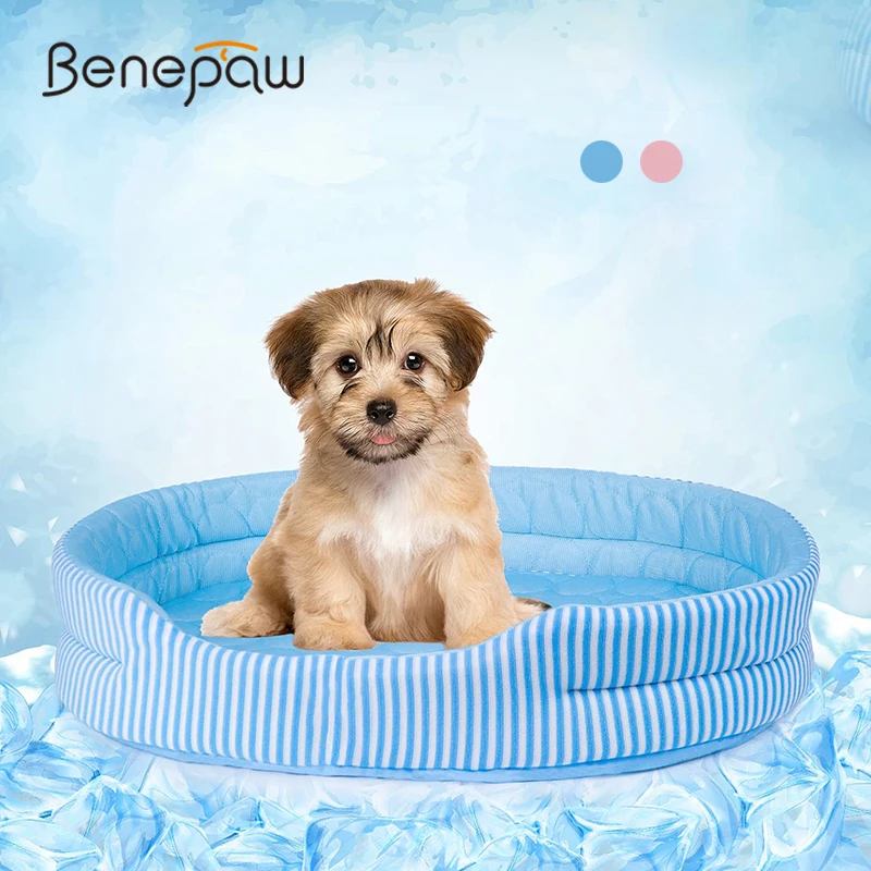 Benepaw cama verano perros pequeños medianos alfombrilla refrigeración ecológica