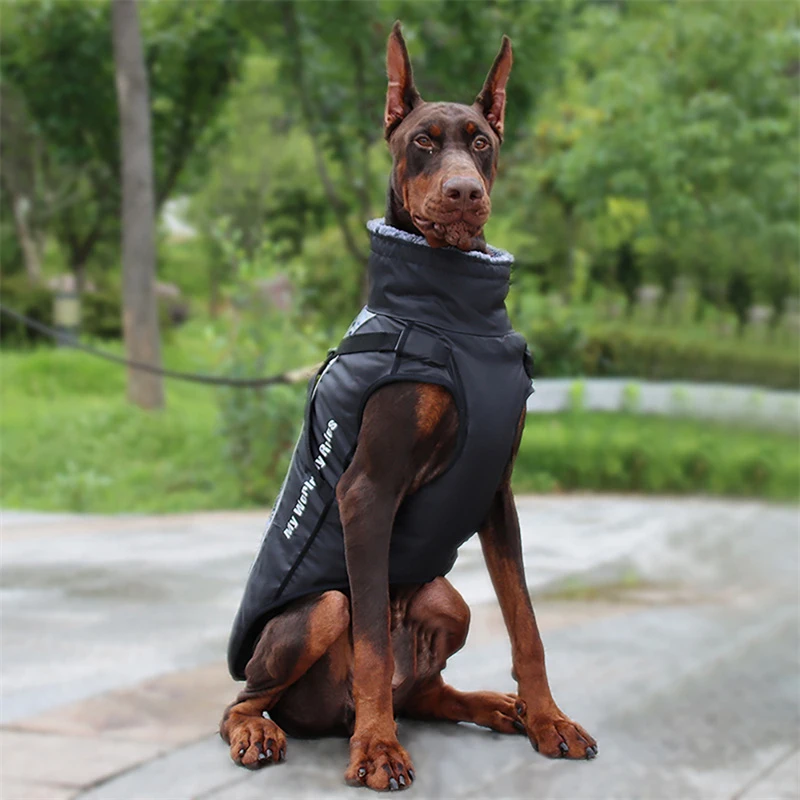 Chaqueta impermeable perro grande arnés reflectante invierno Pitbull - imagen 3