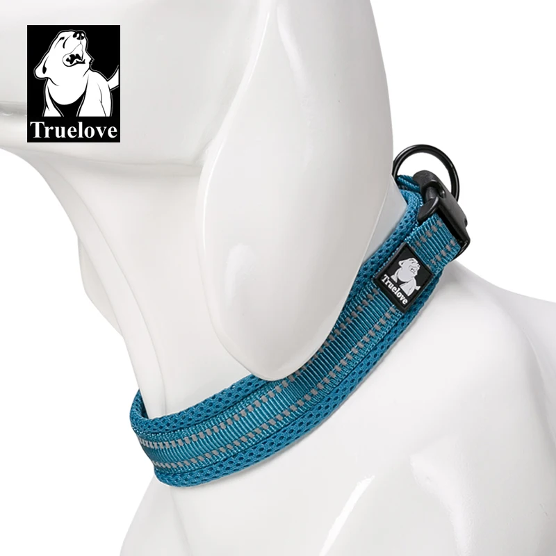 blue dog collar
