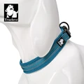blue dog collar