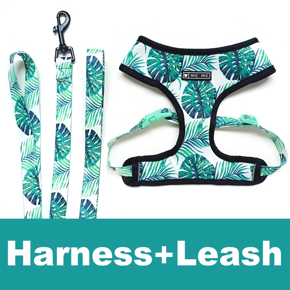 Green harness leash
