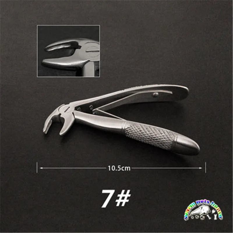 Fórceps de extracción de dientes de acero inoxidable para niños, instrumento Dental para perros y gatos - imagen 2