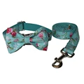 Bow Collar Leash Set