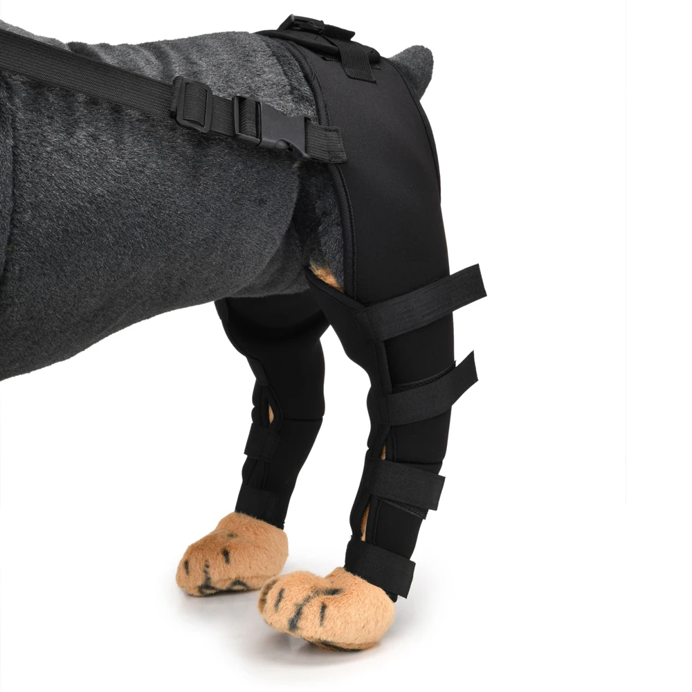 Rodillera para pierna de perro, soporte ajustable, transpirable para perros pequeños, medianos y grandes, rehabilitación postoperatoria, cuidado de las articulaciones - imagen 3
