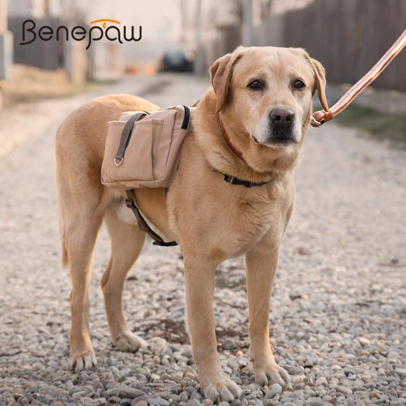 benepaw mochila canva algodón perro grande bolsa sillín ajustable ligera calidad senderismo viaje camping entrenamiento mascotas