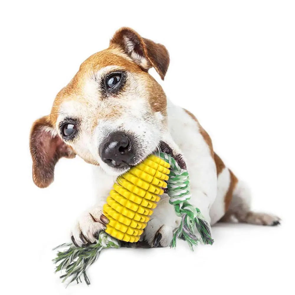 Juguete interactivo de TPR para mascotas, cuerda de algodón resistente a las mordeduras, mordedor Molar, entrenamiento de cachorros, IQ, eliminación de sarro, limpieza de dientes, juguetes en forma de maíz - imagen 4
