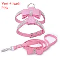 Harness Leash Pink