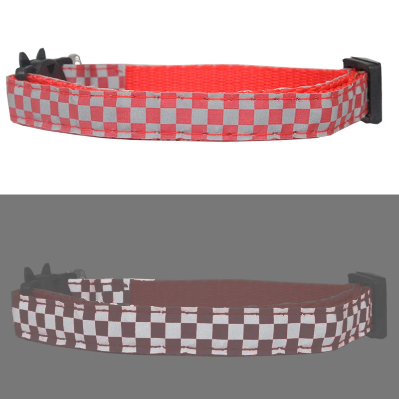 Collar seguridad - Hebilla especial