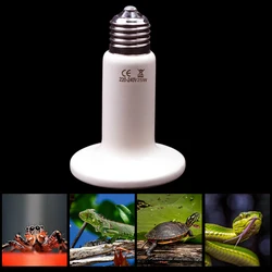 Bombilla de calor cerámico para reptiles y tortugas – Infrarrojos lejanos