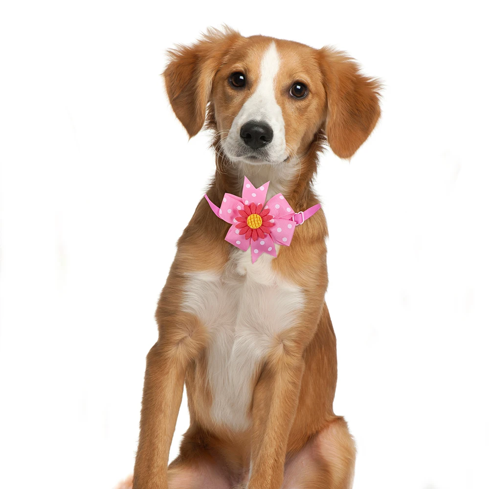 Cachorro usando pajarita girasol Masue Pets