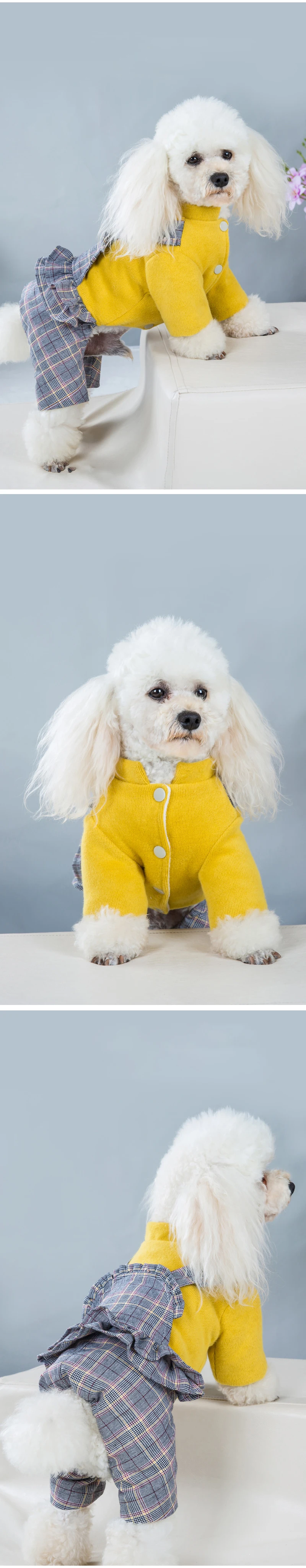 19278084872_926934974