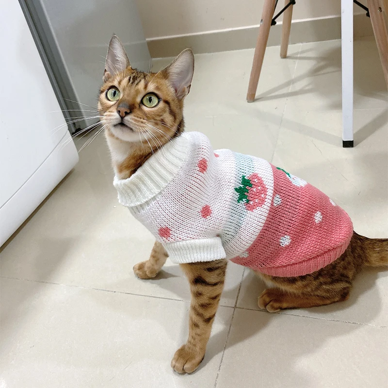 Ropa cálida de invierno para gatos Sphynx, suéter tejido para cachorros y gatitos, sudaderas con capucha para perros pequeños Sphinx, ropa para gatos, disfraces de Chihuahua y Pug - imagen 3