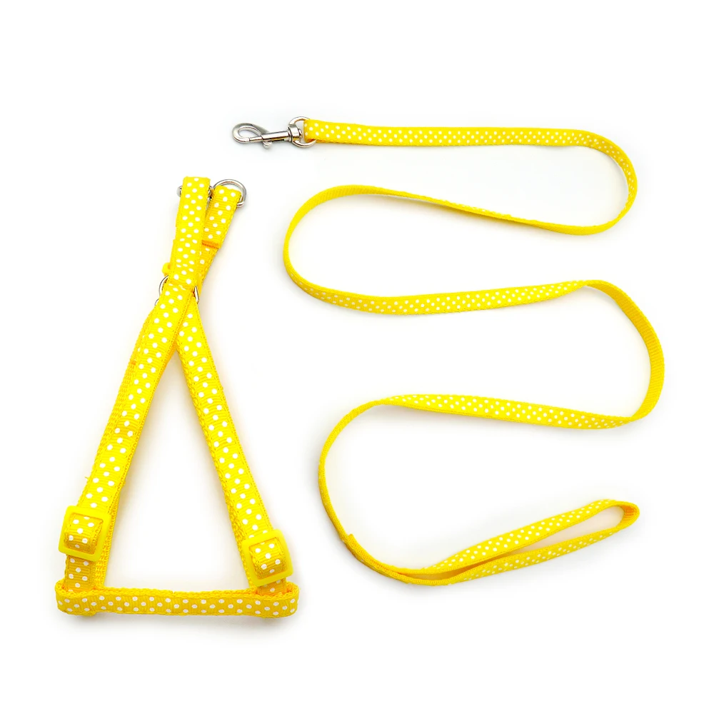 24 unids/lote Collar para perro y gato, Collar para mascota, plomo para cachorro, mascota pequeña, puntos para caminar al aire libre, impresión de Chihuahua Terier Schnauzer - imagen 5