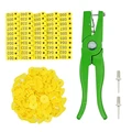 Yellow with numbers