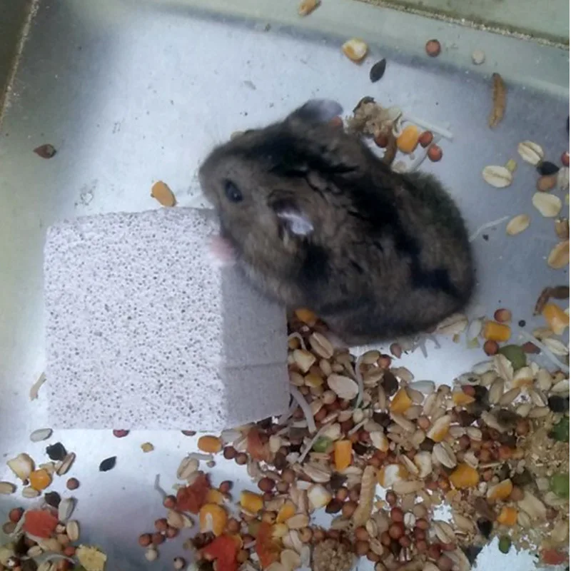 Juguete para masticar de piedra Molar Mineral volcánica Natural para mascotas pequeñas, hámster, conejo, Chinchilla, conejillo de indias, cuidado Dental, juguete para moler los dientes - imagen 5