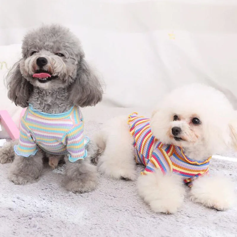 Ropa para perros con tiras de arcoíris, Sudadera con capucha para perros pequeños, Bulldog Francés, perro salchicha, cachorro, gatito, sudadera, camisa XXL - imagen 3