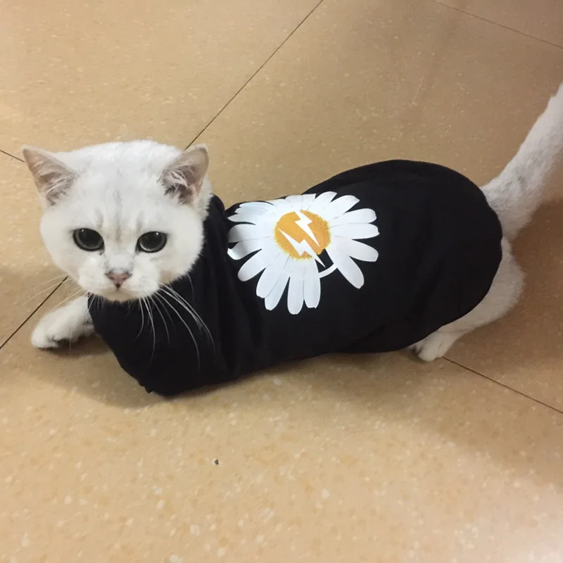 Gato Sphynx con camiseta sin mangas estampada XLeiPet