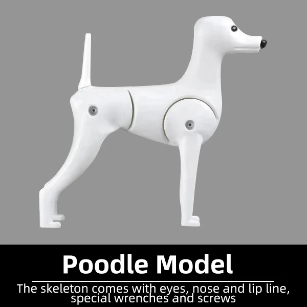 Poodle skeleton only