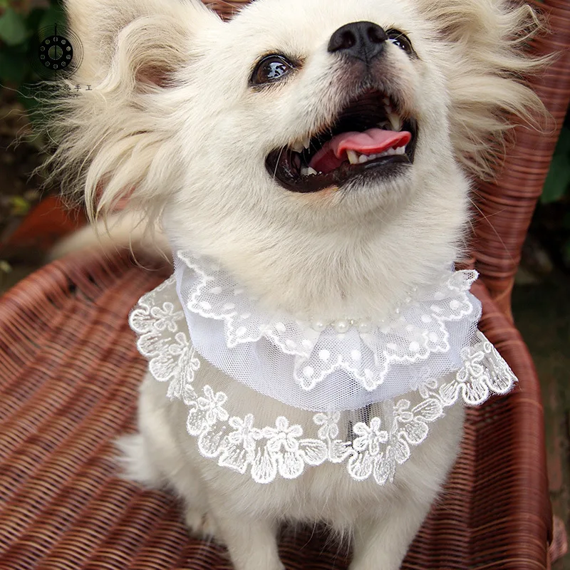 Collar de encaje con babero para mascotas - imagen 2