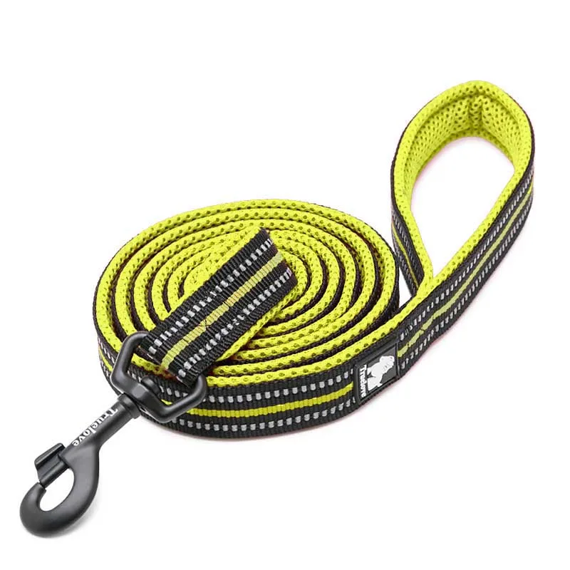 Yellow Dog Leash