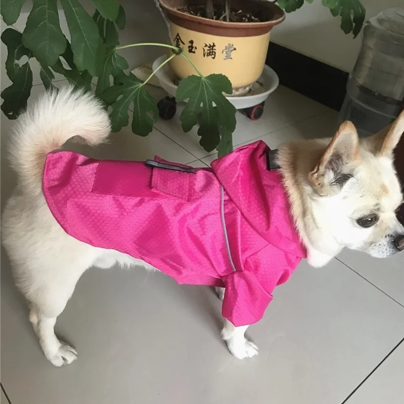 Un perro pequeño con un impermeable rosa