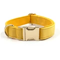 Collar Gold Buckle