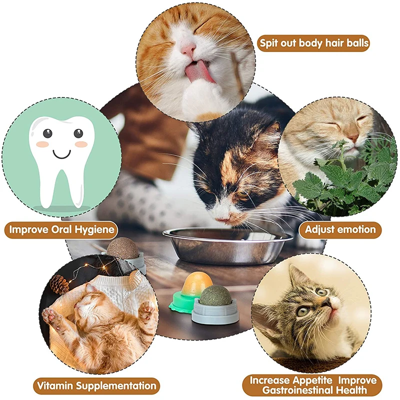 Bola de pared de hierba gatera 4 en 1 para mascotas, juguetes giratorios, bocadillo comestible para gatos, golosinas dentales recargables, cuidado de dientes, accesorios para lamer - imagen 4